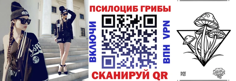 shop клад  Северская  Псилоцибиновые грибы Psilocybine cubensis 