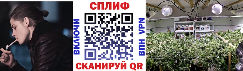 продажа наркотиков  Северская  МАРИХУАНА гибрид 